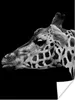 MuchoWow® Poster Tiere - Giraffe - Schwarz - Weiß 90x120 cm Produktbild-Vorschau 1