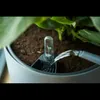 Watering a small plant in a pot with a watering can, showing a plant moisture indicator. Produktbild-Vorschau