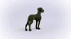 Schleich Farm World Alano 13962 Anteprima dell’immagine prodotto 11