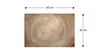 Glas Magnettafel Baumstamm Natur Baumkern 60x40cm Glasbild Produktbild-Vorschau 11