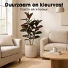 Mica Decorations Rubberplant – Kunstplant in Pot – Productafbeelding-voorbeeld 7
