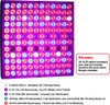 A close-up of a full-spectrum LED grow light with a text box explaining its features. Náhled obrázku produktu