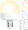 A white LED light bulb with a remote control, USB cable, and smaller examples of the bulb in different colors. Voir les images du produit