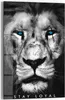 DEQOART Glasbild Echtglas 40x60 cm 'Loyaler Blick' Wandbild Produktbild-Vorschau 1