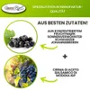 Balsamico Creme Cassis 0,26L 3% Säure mit original Crema di Produktbild-Vorschau 3