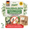 Power Raubmilben Mix gegen Thripse und Spinnmilben -1x Tüte Produktbild-Vorschau 1