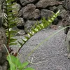 Basalt Splitt, 2/5mm, 20kg Paket Produktbild-Vorschau 3