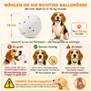 PawHut, lanceur de balles automatique, machine interactive Voir les images du produit 9