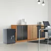 Profirst Wertschutzschrank EN1 Attika Fire 65 Produktbild-Vorschau 6