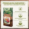 Green Home Blumenerde 72 L – Pflanzerde für Zimmerpflanzen, Produktbild-Vorschau 2