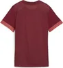 Puma Teamgoal Trikot Kurzarm Damen - Bordeaux Produktbild-Vorschau 2