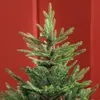 A close-up shot of the top section of a green artificial Christmas tree against a red background. Produktbild-Vorschau