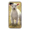 MuchoWow® Handyhülle Schutzhülle Hülle für iPhone 8 Schafe Produktbild-Vorschau 1