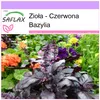 SAFLAX - Zioła - Czerwona Bazylia - 200 Nasiona - Ocimum Podgląd zdjęcia produktu 5