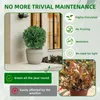 Kš¹nstlicher Formkugelbaum mit Erdspie? šC 2er-Set Produktbild-Vorschau 3