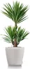 LECHUZA-Pot de plantes CLASSICO Color 60 Blanc | Pot de Voir les images du produit 7