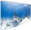 MuchoWow® Poster Verschluckender Hai 80x40 cm - Wanddeko Produktbild-Vorschau 1