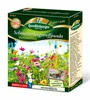 Quedlinburger Saatgut - Schmetterlingstreffpunkt - Samen - Produktbild-Vorschau 3