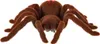 Aga Diaľkovo ovládaný pavúk TARANTULA hnedý Náhľad obrázku produktu 9