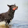 Beeztees Hundespielzeug Splashball blau/rot Produktbild-Vorschau 5