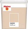 Alpina Wandfarbe Pantone 13-1308 brazilian sand 5l Produktbild-Vorschau 4