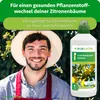 Purgrün -Zitronenbaum-Dünger 1 Liter Produktbild-Vorschau 2
