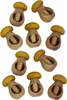 CUCINA Schiaccianoci giallo in legno 10 pezzi Anteprima dell’immagine prodotto 1