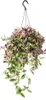 Pianta d'appartamento da appendere Tradescantia quadricolor Anteprima dell’immagine prodotto 1