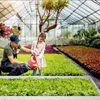 XINZI, elastyczna krawędź do trawnika, metalowa obwódka do Podgląd zdjęcia produktu 8