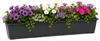 Blumenkasten Standard 80 cm anthrazit Produktbild-Vorschau 3