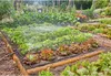 Wąż tekstylny Gardena Liano Life 1/2, zestaw 20 m Podgląd zdjęcia produktu 18