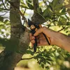 Fiskars P541 Plus™ Smartfit™ Nožnice Záhradné Dvojčepeľové Náhľad obrázku produktu 17