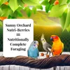 Lafeber NutriBerries Sunny Orchard Cockatiel - Alimento: Anteprima dell’immagine prodotto 4