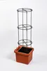 Plastia Berberis Spalier Pflanzenstütze 132,5 cm hoch x 38 Produktbild-Vorschau 8
