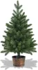 A small, artificial Christmas tree in a decorative pot, presented against a white background. Produktbild-Vorschau