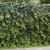 Bloomique - 2er-Set - Hedera Helix - Kleinblättriger Efeu - Produktbild-Vorschau 5