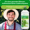Purgrün Goldfruchtpalme-Dünger 1 Liter, Produktbild-Vorschau 2