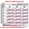 Royal Canin Veterinary Renal 2x400g Trockenfutter für Produktbild-Vorschau 3