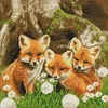 Crystal Art Fuchswelpen 30x30 cm Produktbild-Vorschau 1