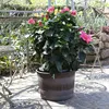 Jinfa 1 Blumenkübel aus Kunststoff in Holzoptik | Farbe: Produktbild-Vorschau 6