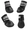 Four views of dog boots, presented as a collage. Produktbild-Vorschau