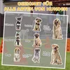 PawHut Agility Set Hunde 3-teiliges Agility-Ausrüstung für Produktbild-Vorschau 8