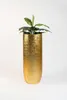 VIVANNO Bac à plantes en fibre de verre SOLERIO Rond, Voir les images du produit 6