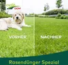 CUXIN DCM Rasendünger Spezial Minigran 3 kg Produktbild-Vorschau 8
