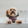 Hunter Hunde-Bademantel Riga, Größe:70 cm, Farbe:altrosa Produktbild-Vorschau 7