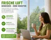 Okenní síť proti hmyzu 130x150cm, moskytiéra, síť proti Náhled obrázku produktu 6