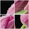 Bild auf Leinwand - Leinwandbild - Tulpe Blumen Tau - Produktbild-Vorschau 8