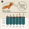 BLUZELLE Hundebett Kleine Hunde & Katzen, 50cm Hundekissen Produktbild-Vorschau 6