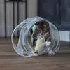 Beeztees Kitten Katzenspielzeug Spielspirale Gabi Produktbild-Vorschau 3