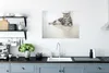 MuchoWow® Poster Gestreifte American Shorthair 80x60 cm - Produktbild-Vorschau 3
